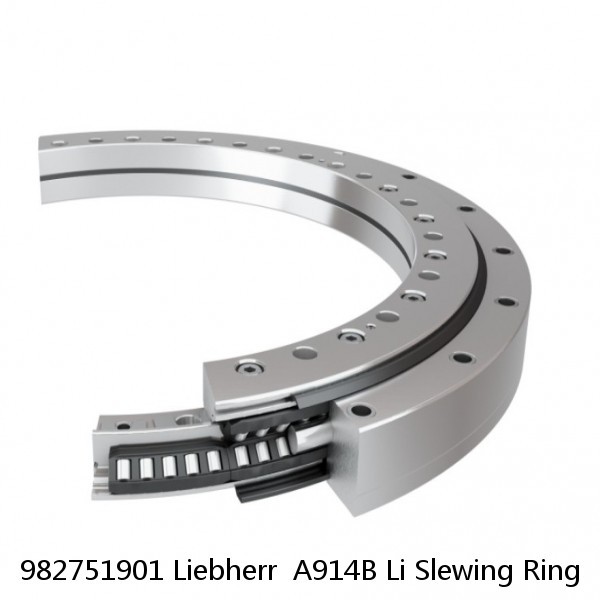 982751901 Liebherr  A914B Li Slewing Ring