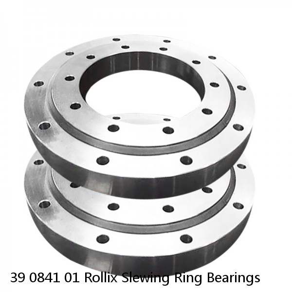 39 0841 01 Rollix Slewing Ring Bearings