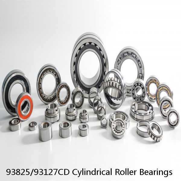 93825/93127CD Cylindrical Roller Bearings