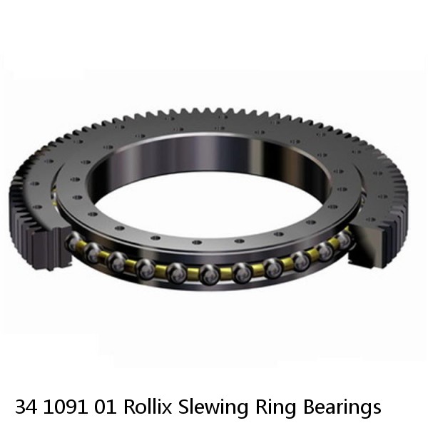 34 1091 01 Rollix Slewing Ring Bearings