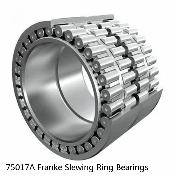 75017A Franke Slewing Ring Bearings