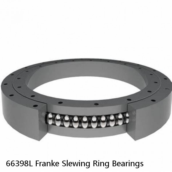 66398L Franke Slewing Ring Bearings