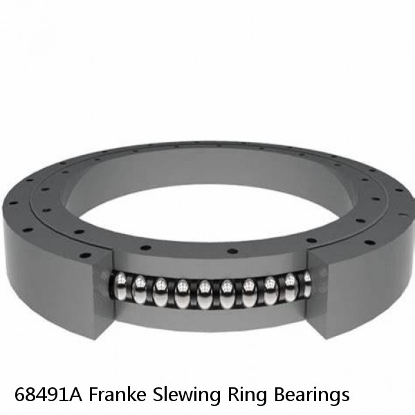 68491A Franke Slewing Ring Bearings