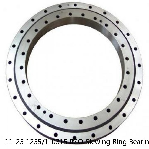 11-25 1255/1-0315 IMO Slewing Ring Bearings