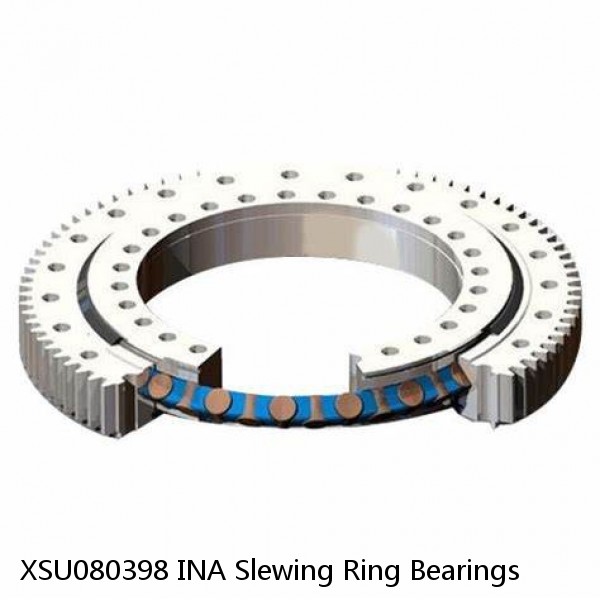 XSU080398 INA Slewing Ring Bearings