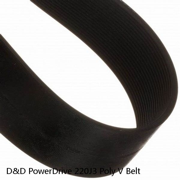 D&D PowerDrive 220J3 Poly V Belt