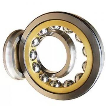 Top China Bearings Supplier Cylindrical Roller Bearing RNU 205