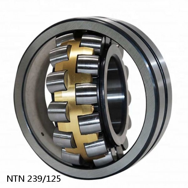 239/125 NTN Spherical Roller Bearings