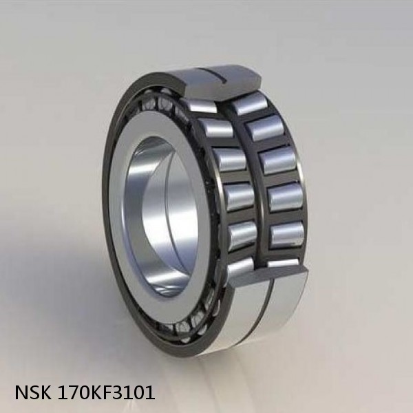 170KF3101 NSK Tapered roller bearing #1 small image