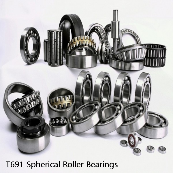 T691 Spherical Roller Bearings