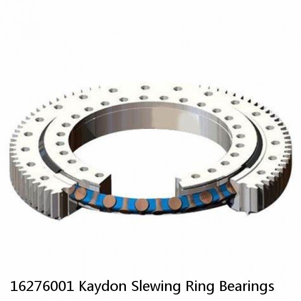 16276001 Kaydon Slewing Ring Bearings #1 small image