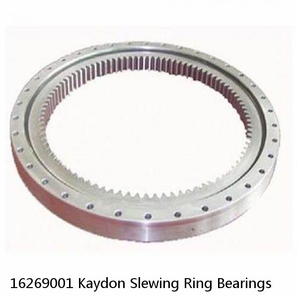 16269001 Kaydon Slewing Ring Bearings #1 small image