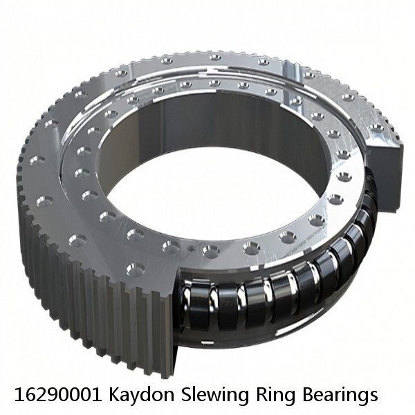 16290001 Kaydon Slewing Ring Bearings #1 small image