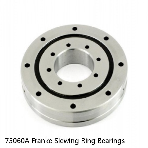 75060A Franke Slewing Ring Bearings #1 small image