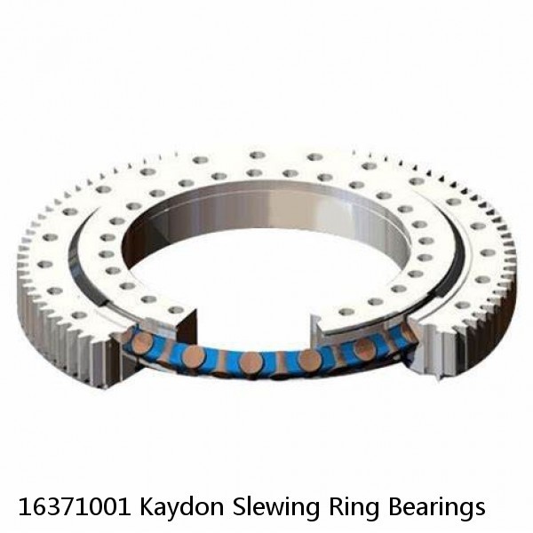 16371001 Kaydon Slewing Ring Bearings #1 small image