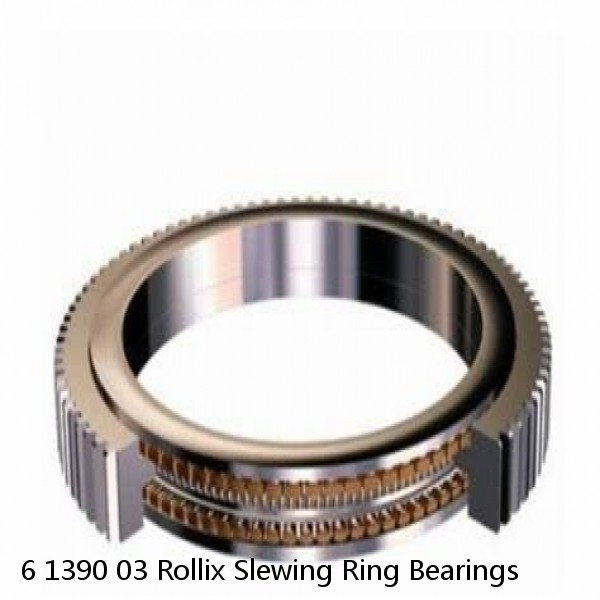 6 1390 03 Rollix Slewing Ring Bearings #1 small image