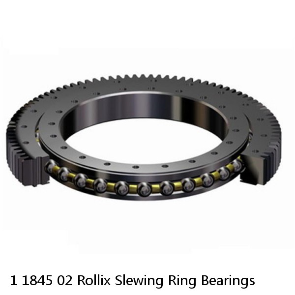 1 1845 02 Rollix Slewing Ring Bearings #1 small image