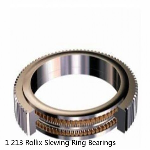 1 213 Rollix Slewing Ring Bearings #1 small image