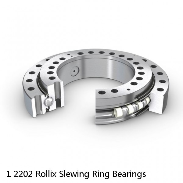 1 2202 Rollix Slewing Ring Bearings #1 small image