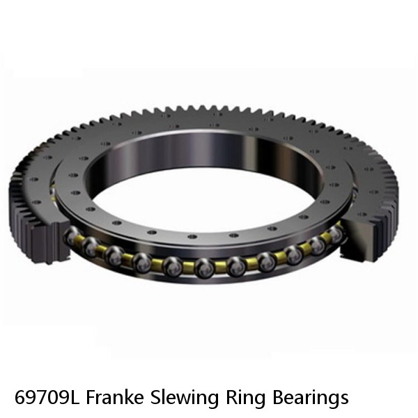 69709L Franke Slewing Ring Bearings #1 small image