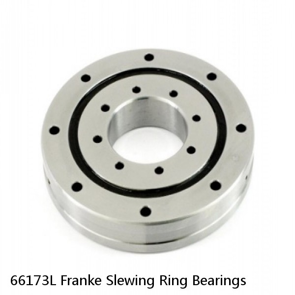 66173L Franke Slewing Ring Bearings #1 small image