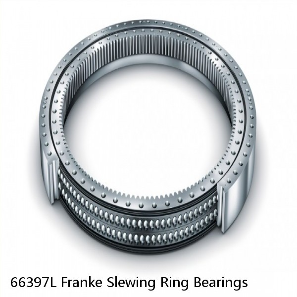 66397L Franke Slewing Ring Bearings #1 small image