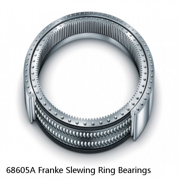 68605A Franke Slewing Ring Bearings #1 small image