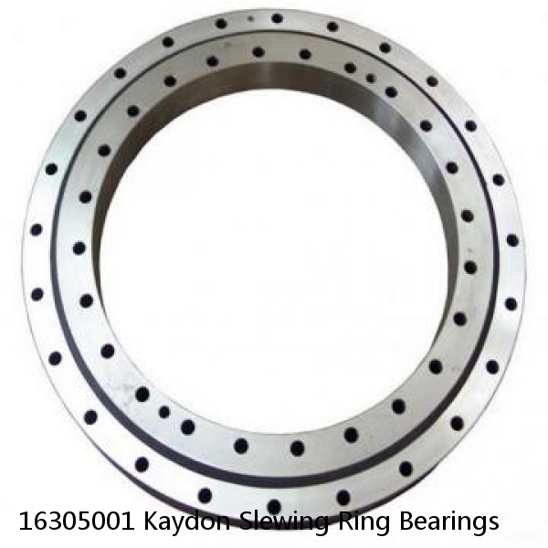 16305001 Kaydon Slewing Ring Bearings #1 small image