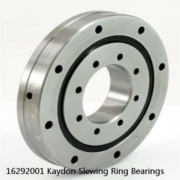 16292001 Kaydon Slewing Ring Bearings #1 small image