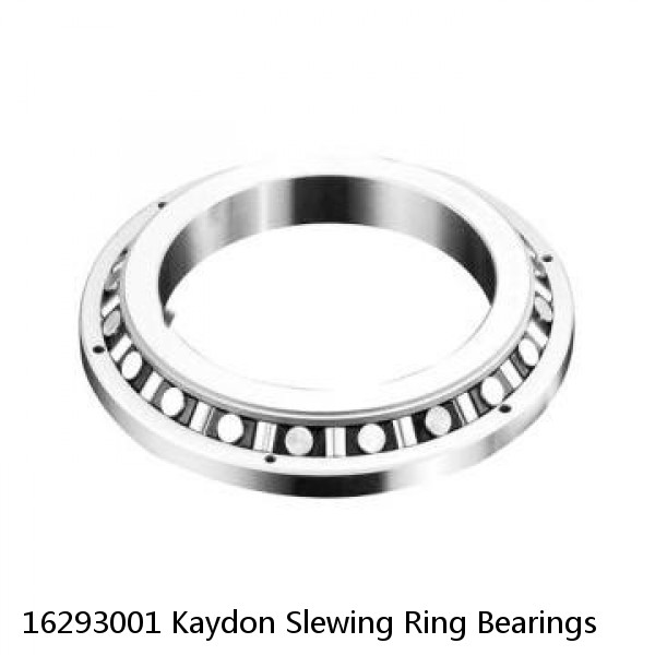 16293001 Kaydon Slewing Ring Bearings #1 small image