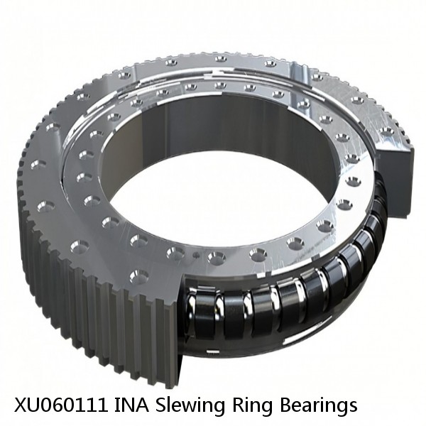 XU060111 INA Slewing Ring Bearings #1 small image