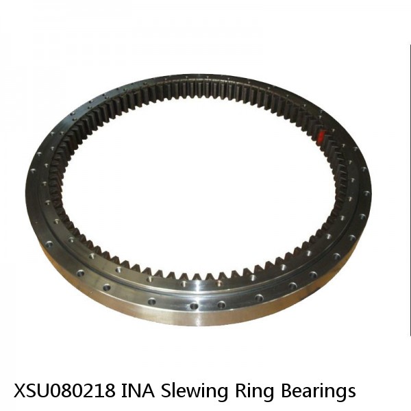 XSU080218 INA Slewing Ring Bearings #1 small image