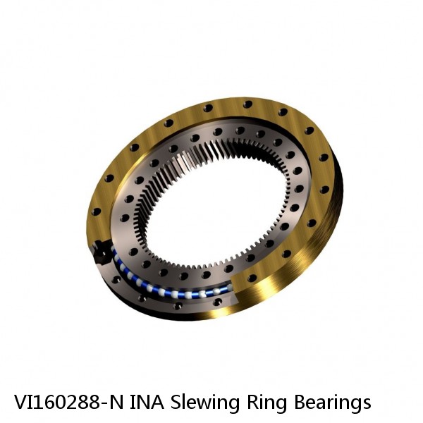 VI160288-N INA Slewing Ring Bearings #1 small image