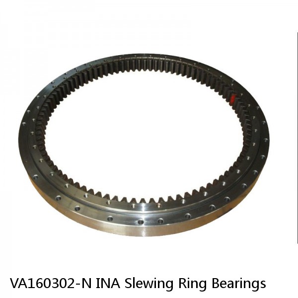 VA160302-N INA Slewing Ring Bearings #1 small image