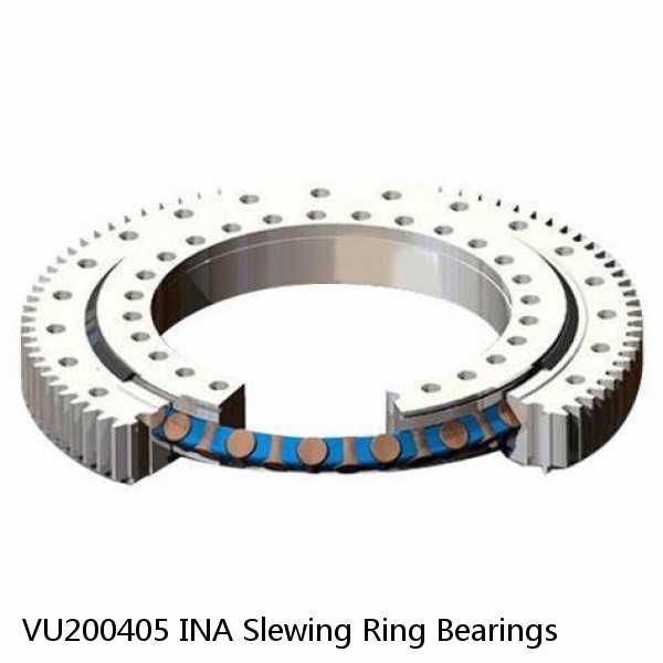 VU200405 INA Slewing Ring Bearings #1 small image