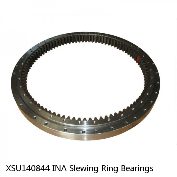 XSU140844 INA Slewing Ring Bearings #1 small image