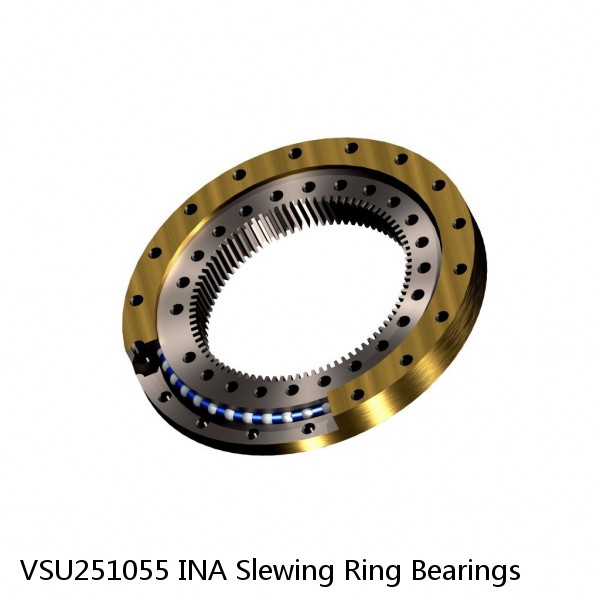 VSU251055 INA Slewing Ring Bearings #1 small image