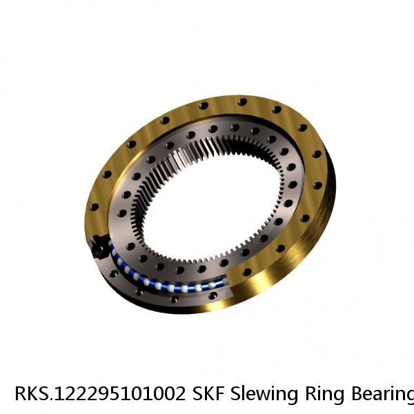 RKS.122295101002 SKF Slewing Ring Bearings #1 small image