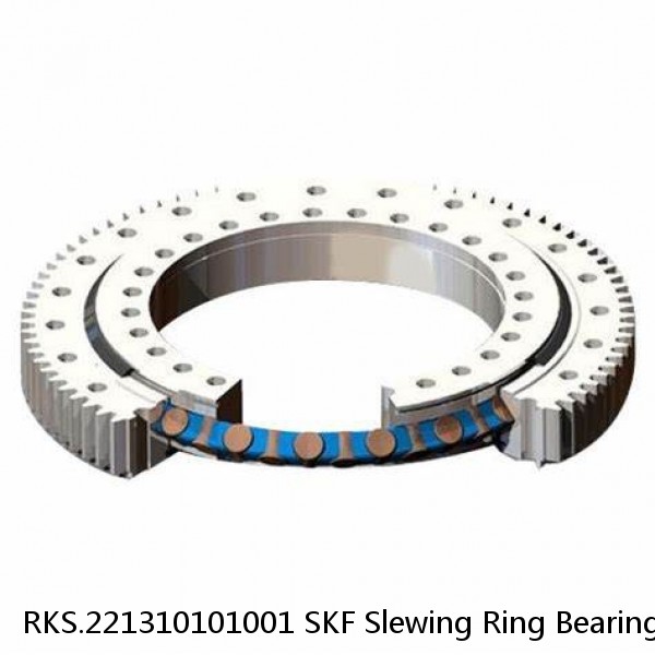 RKS.221310101001 SKF Slewing Ring Bearings #1 small image