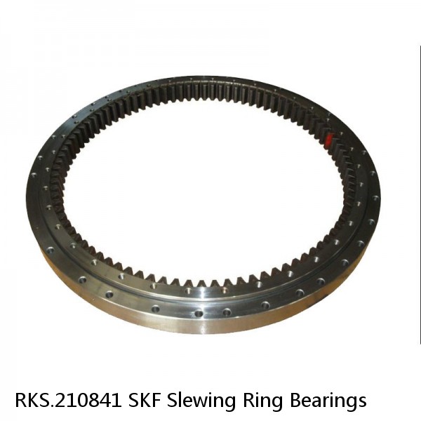 RKS.210841 SKF Slewing Ring Bearings #1 small image