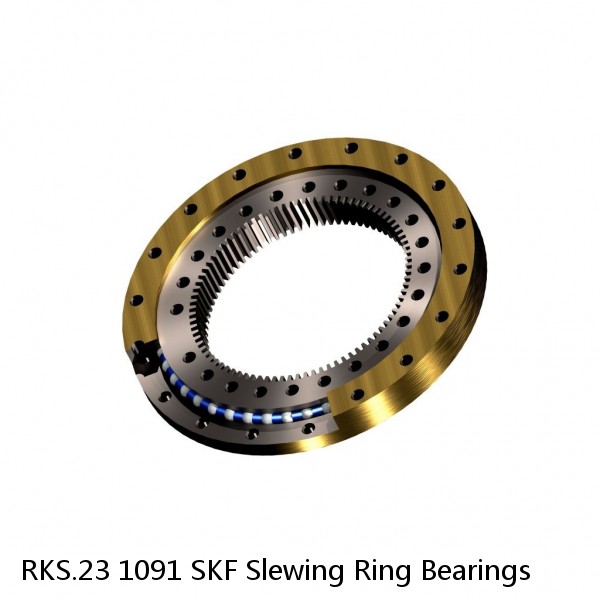 RKS.23 1091 SKF Slewing Ring Bearings #1 small image