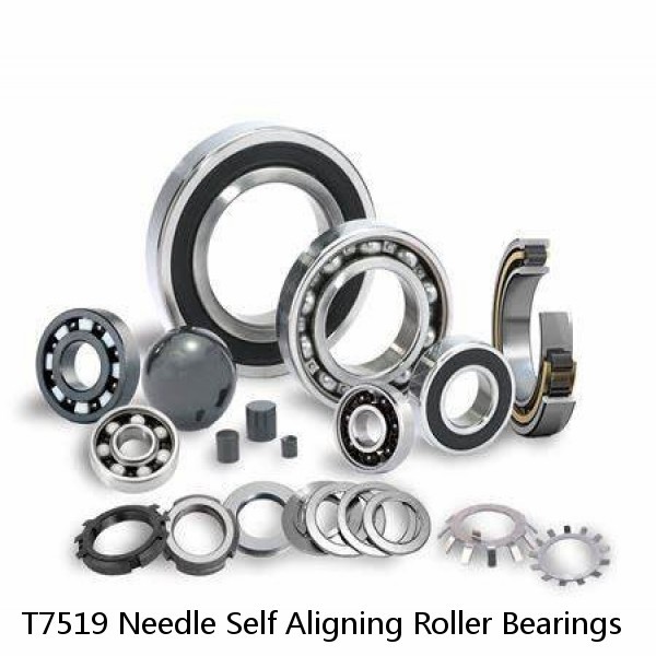 T7519 Needle Self Aligning Roller Bearings