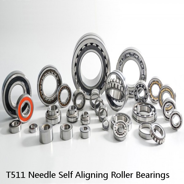 T511 Needle Self Aligning Roller Bearings #1 image