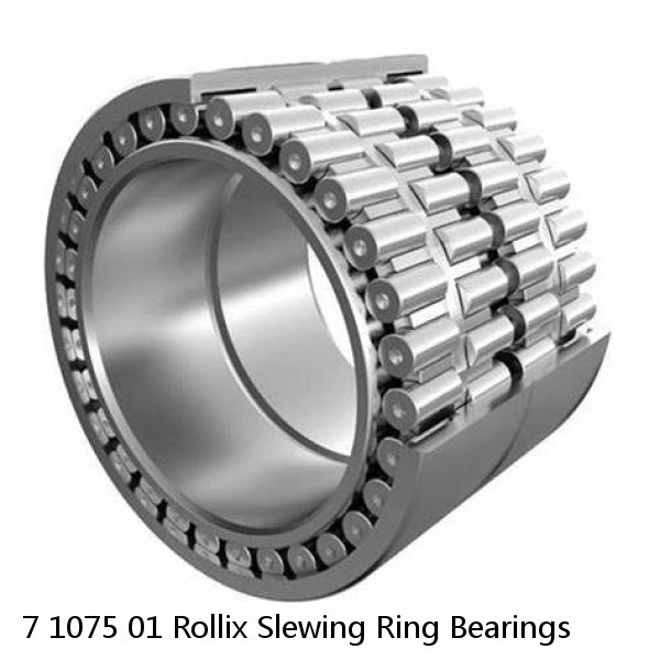 7 1075 01 Rollix Slewing Ring Bearings #1 image