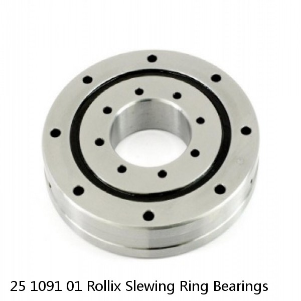 25 1091 01 Rollix Slewing Ring Bearings #1 image