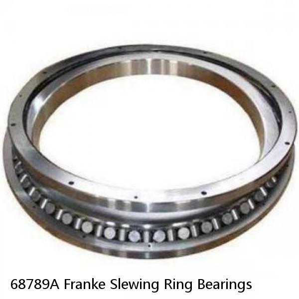 68789A Franke Slewing Ring Bearings #1 image