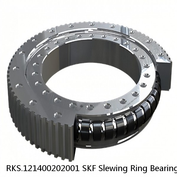 RKS.121400202001 SKF Slewing Ring Bearings #1 image