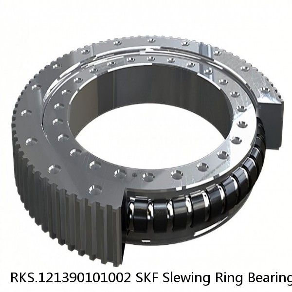 RKS.121390101002 SKF Slewing Ring Bearings #1 image