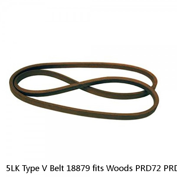 5LK Type V Belt 18879 fits Woods PRD72 PRD7200 RD72 RD7200 RM660 #1 image