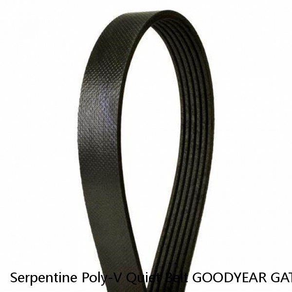 Serpentine Poly-V Quiet Belt GOODYEAR GATORBACK 4040560  #1 image